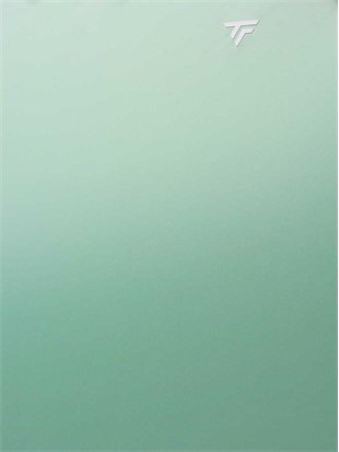Tecnifibre majica X-Loop Sage