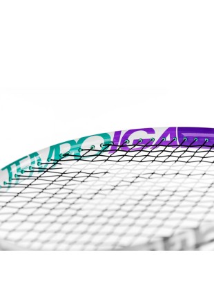 Otroški tenis lopar Tecnifibre Tempo IGA 24